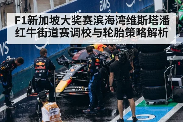 F1新加坡大奖赛滨海湾维斯塔潘红牛街道赛调校与轮胎策略解析